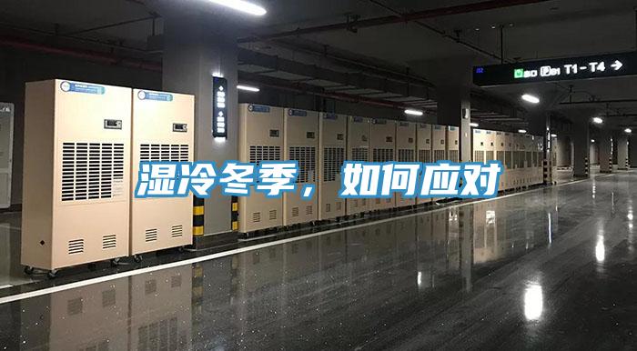 濕冷冬季，如何應(yīng)對