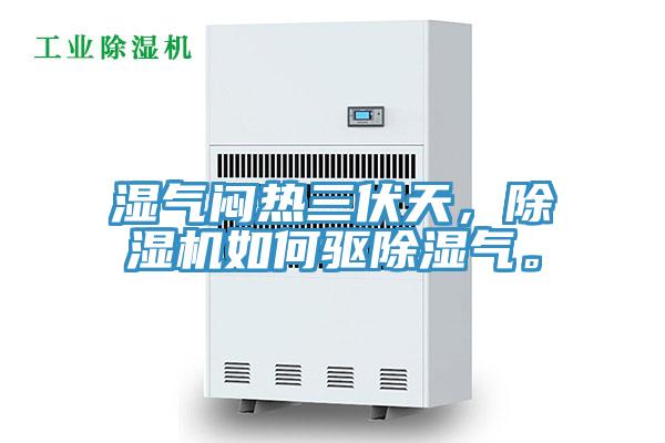 濕氣悶熱三伏天，除濕機如何驅(qū)除濕氣。