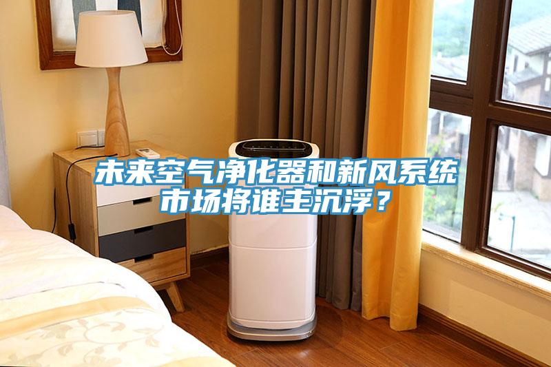 未來(lái)空氣凈化器和新風(fēng)系統(tǒng)市場(chǎng)將誰(shuí)主沉??？