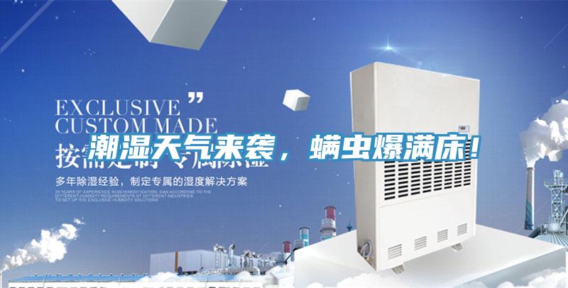 潮濕天氣來襲，螨蟲爆滿床！