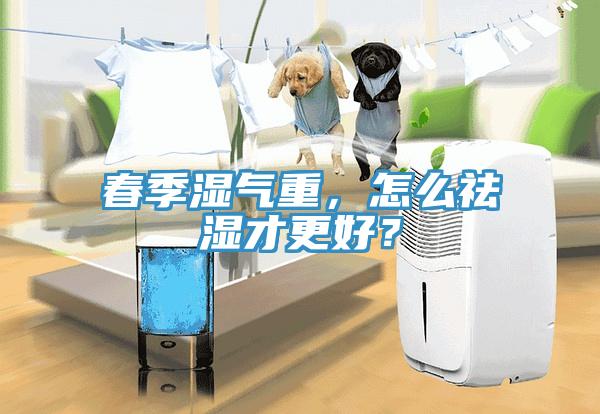 春季濕氣重，怎么祛濕才更好？
