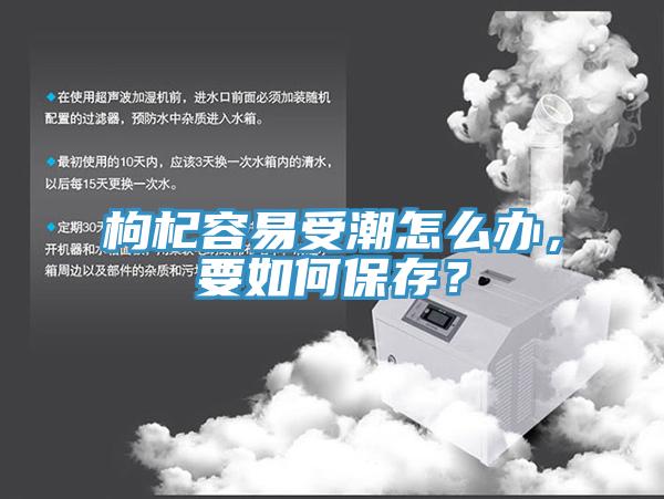 枸杞容易受潮怎么辦，要如何保存？