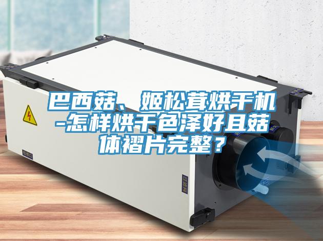 巴西菇、姬松茸烘干機-怎樣烘干色澤好且菇體褶片完整？