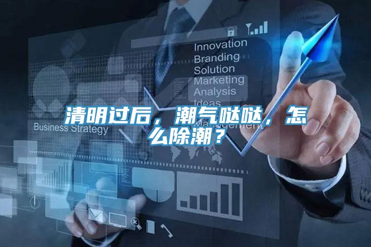 清明過后，潮氣噠噠，怎么除潮？