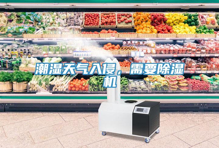 潮濕天氣入侵，需要除濕機(jī)
