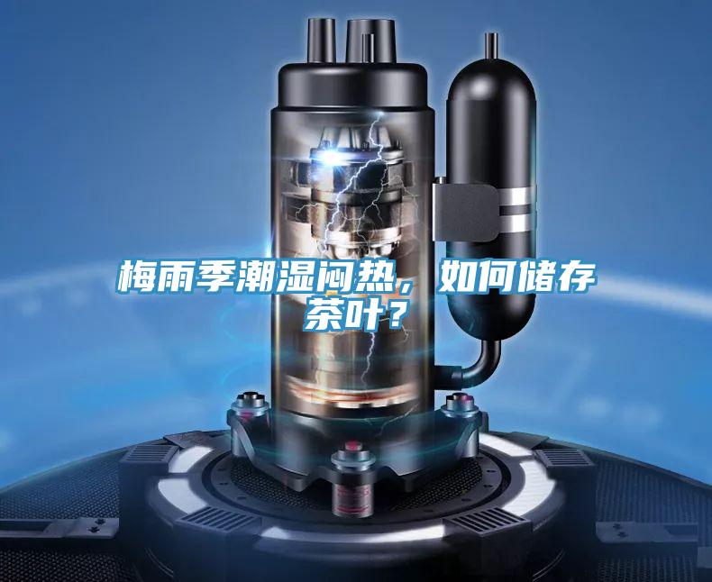 梅雨季潮濕悶熱，如何儲(chǔ)存茶葉？