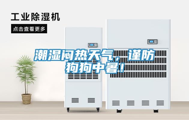 潮濕悶熱天氣，謹(jǐn)防狗狗中暑！