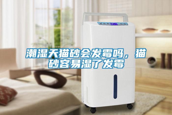 潮濕天貓砂會發(fā)霉嗎，貓砂容易濕了發(fā)霉