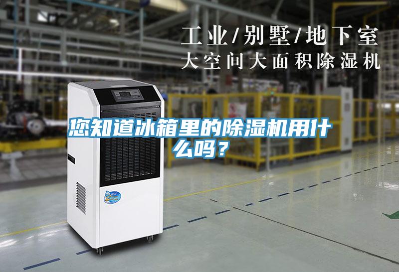 您知道冰箱里的除濕機用什么嗎？