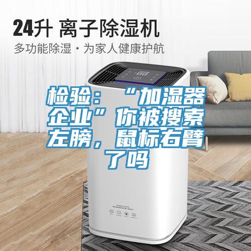 檢驗：“加濕器企業(yè)”你被搜索左膀，鼠標(biāo)右臂了嗎