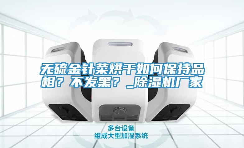 無硫金針菜烘干如何保持品相？不發(fā)黑？_除濕機(jī)廠家