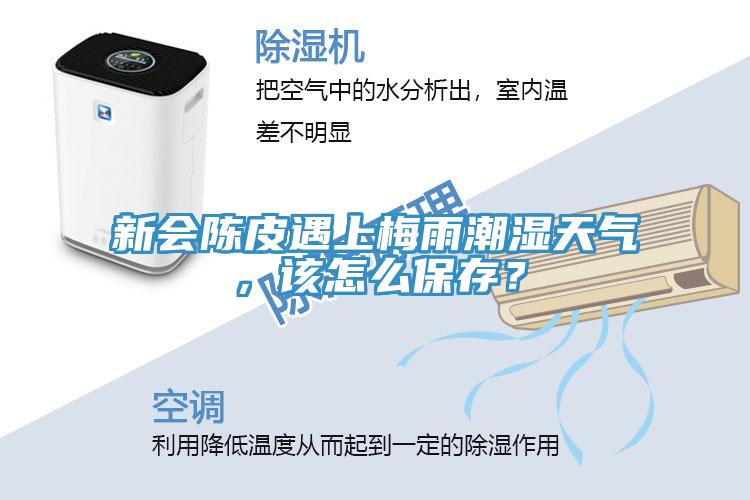 新會陳皮遇上梅雨潮濕天氣，該怎么保存？