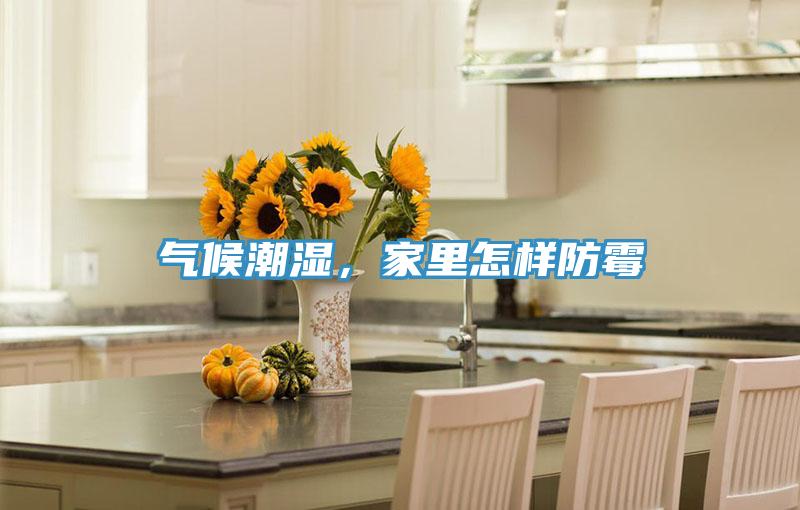 氣候潮濕，家里怎樣防霉