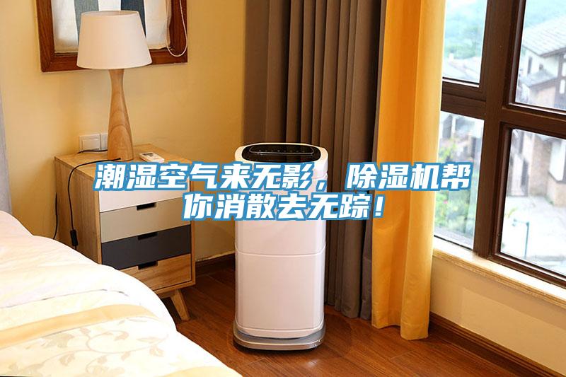 潮濕空氣來無影，除濕機幫你消散去無蹤！