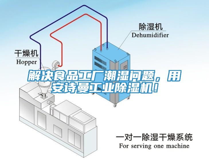 解決食品工廠潮濕問題，用安詩曼工業(yè)除濕機！
