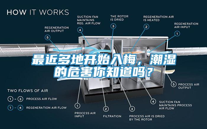 最近多地開始入梅，潮濕的危害你知道嗎？