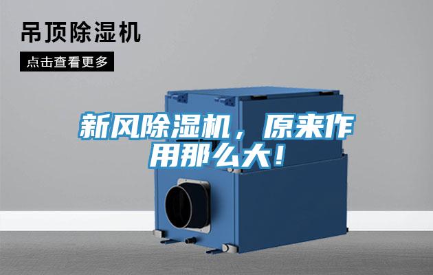 新風(fēng)除濕機(jī)，原來作用那么大！