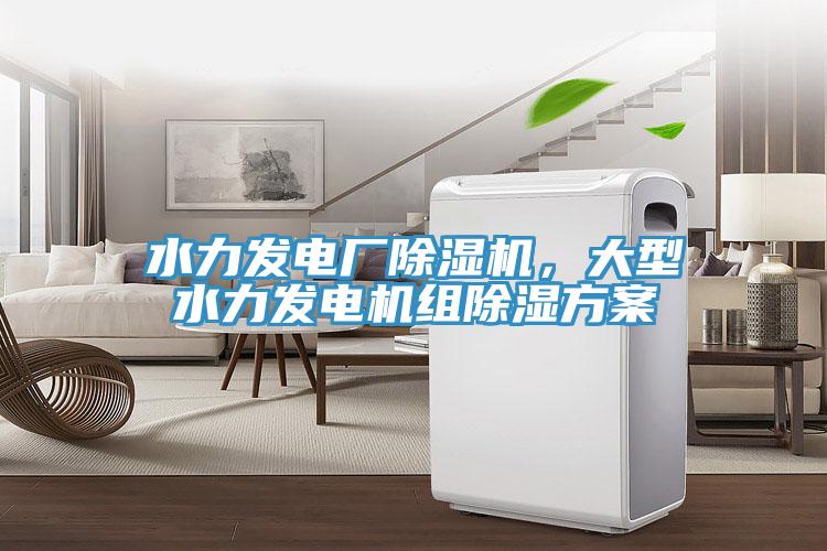 水力發(fā)電廠除濕機(jī)，大型水力發(fā)電機(jī)組除濕方案