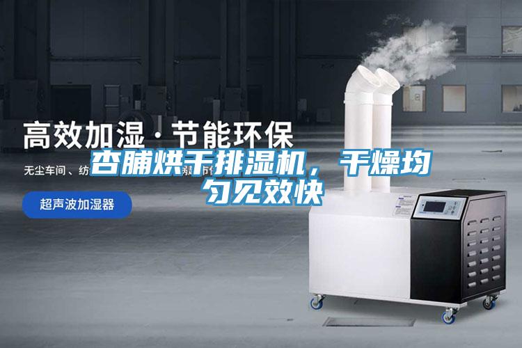 杏脯烘干排濕機(jī)，干燥均勻見(jiàn)效快
