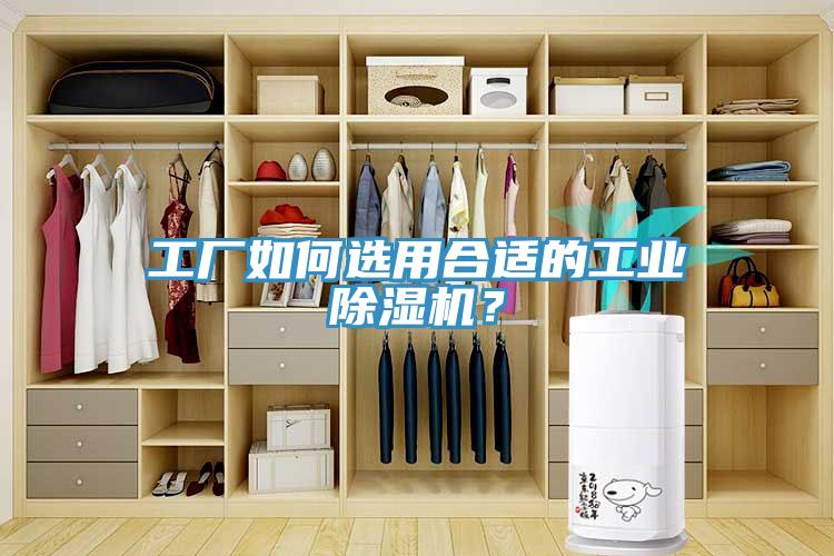 工廠如何選用合適的工業(yè)除濕機(jī)？