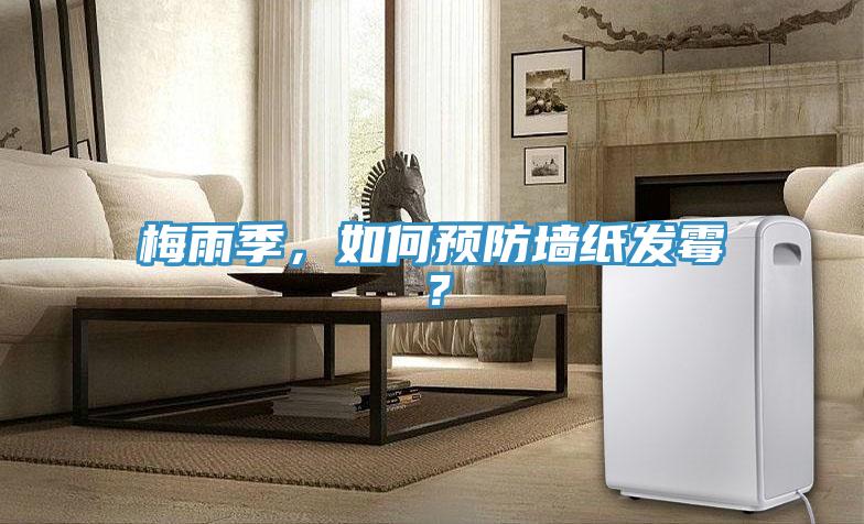 梅雨季，如何預防墻紙發(fā)霉？