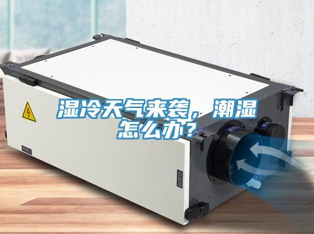 濕冷天氣來襲，潮濕怎么辦？