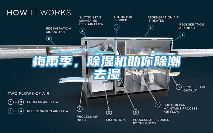 梅雨季，除濕機助你除潮去濕