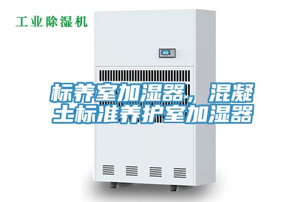 標(biāo)養(yǎng)室加濕器，混凝土標(biāo)準(zhǔn)養(yǎng)護(hù)室加濕器