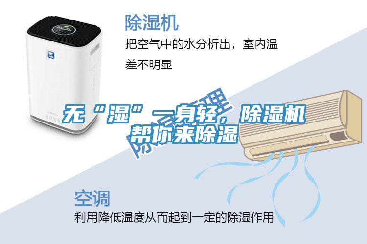 無“濕”一身輕，除濕機幫你來除濕