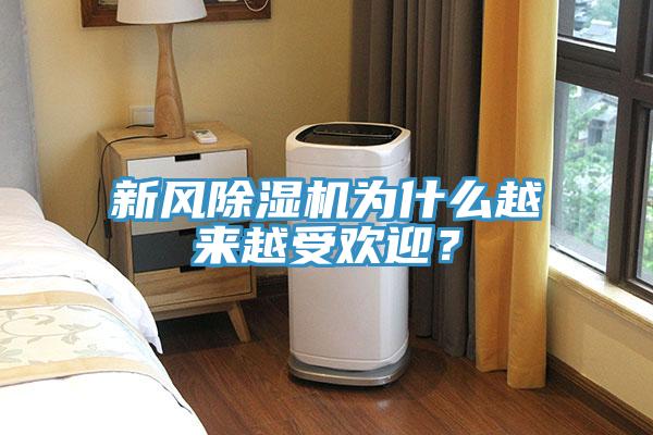 新風(fēng)除濕機(jī)為什么越來越受歡迎？