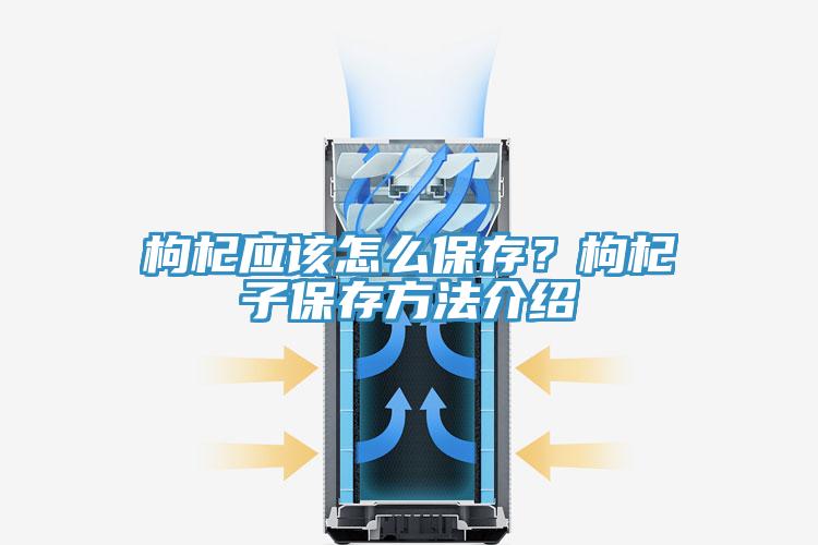 枸杞應(yīng)該怎么保存？枸杞子保存方法介紹