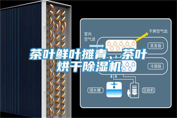 茶葉鮮葉攤青、茶葉烘干除濕機(jī)