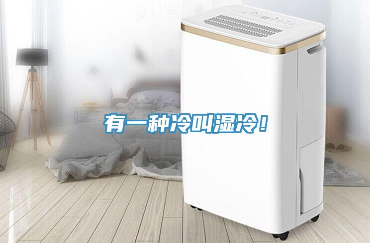 有一種冷叫濕冷！