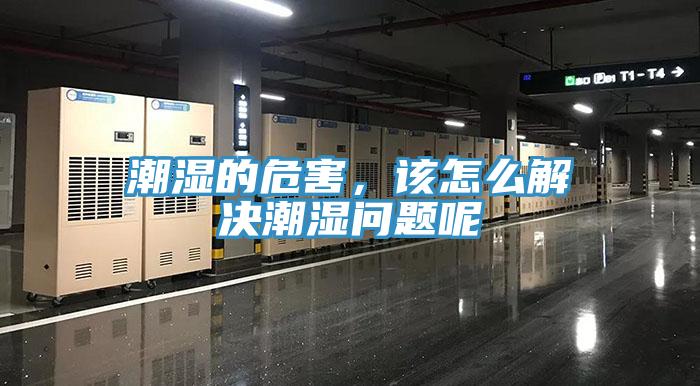 潮濕的危害，該怎么解決潮濕問題呢