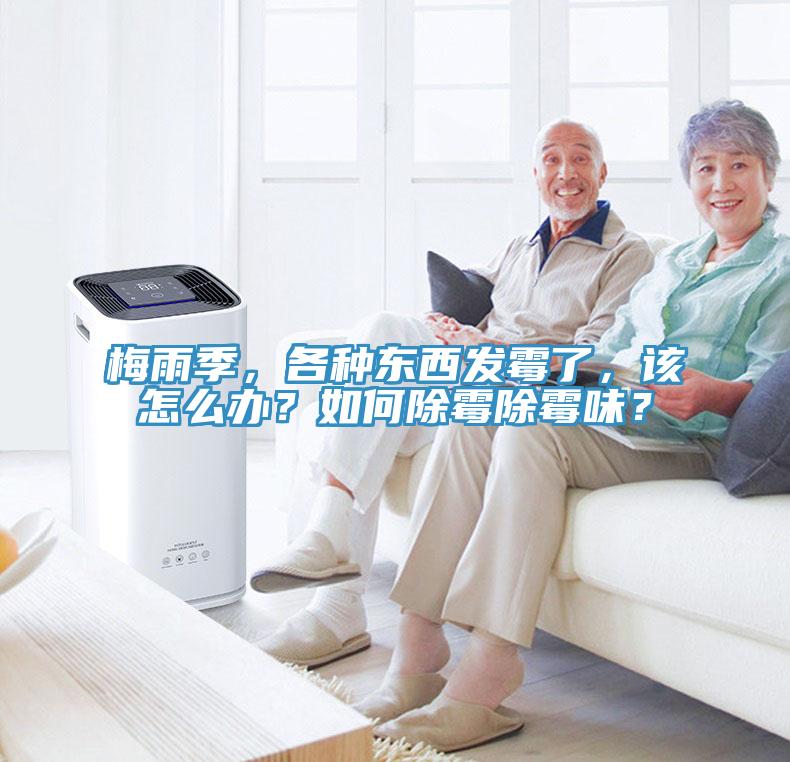 梅雨季，各種東西發(fā)霉了，該怎么辦？如何除霉除霉味？
