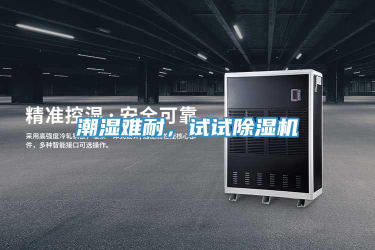潮濕難耐，試試除濕機(jī)