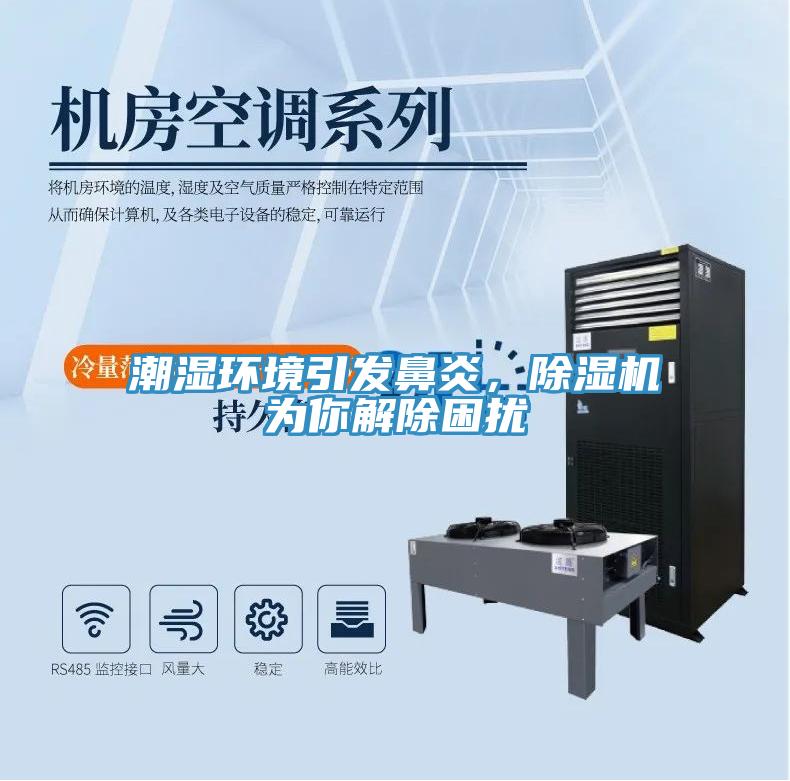 潮濕環(huán)境引發(fā)鼻炎，除濕機為你解除困擾