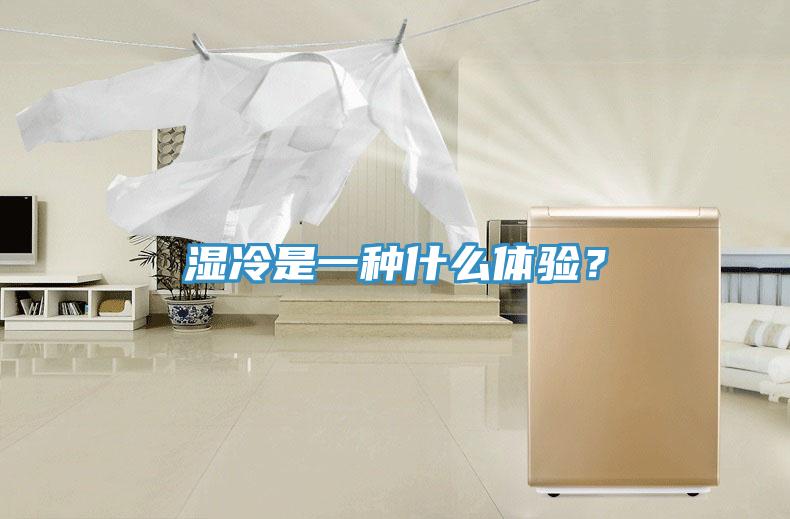 濕冷是一種什么體驗(yàn)？