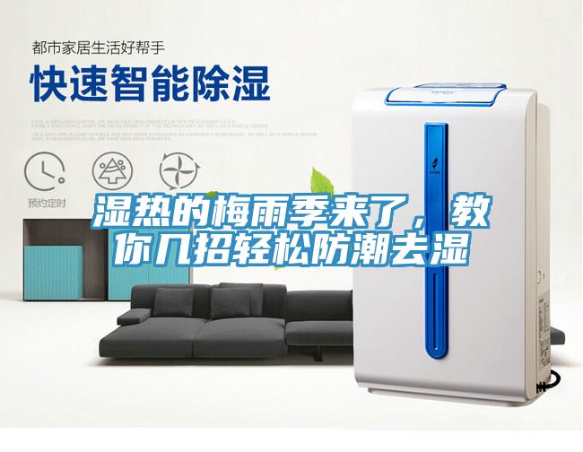 濕熱的梅雨季來了，教你幾招輕松防潮去濕