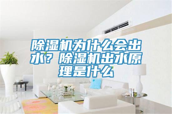 除濕機為什么會出水？除濕機出水原理是什么