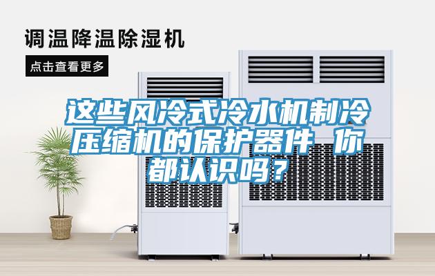 這些風(fēng)冷式冷水機(jī)制冷壓縮機(jī)的保護(hù)器件 你都認(rèn)識(shí)嗎？