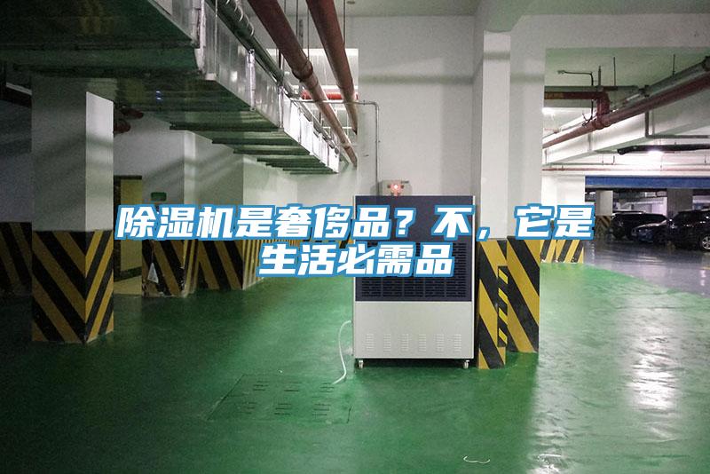 除濕機是奢侈品？不，它是生活必需品