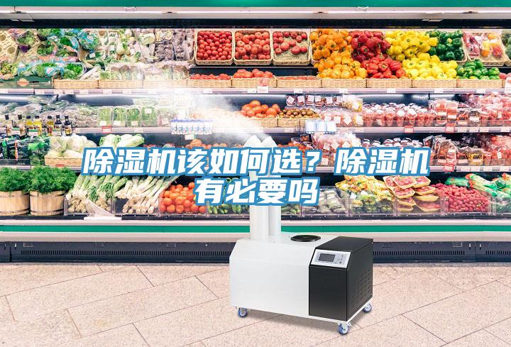 除濕機(jī)該如何選？除濕機(jī)有必要嗎