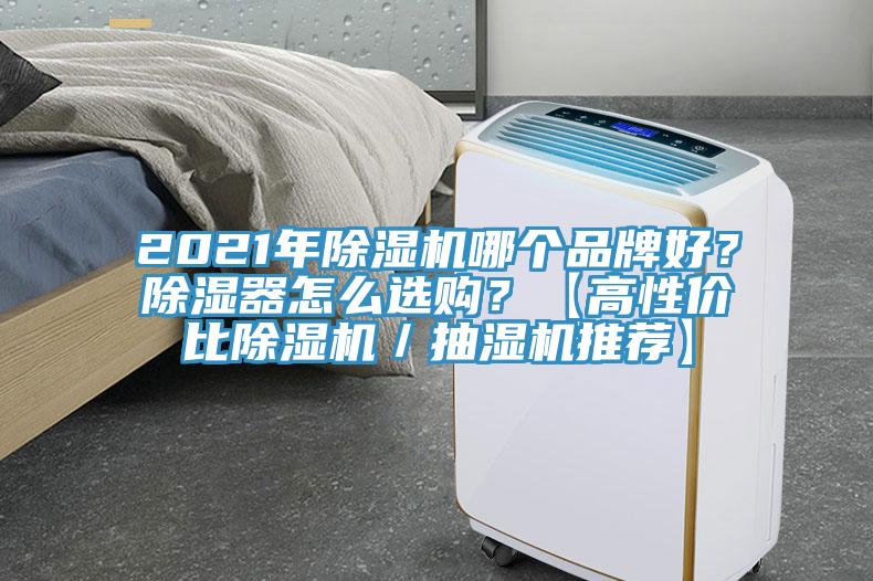 2021年除濕機哪個品牌好？除濕器怎么選購？【高性價比除濕機／抽濕機推薦】