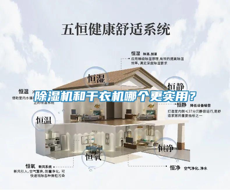 除濕機和干衣機哪個更實用？