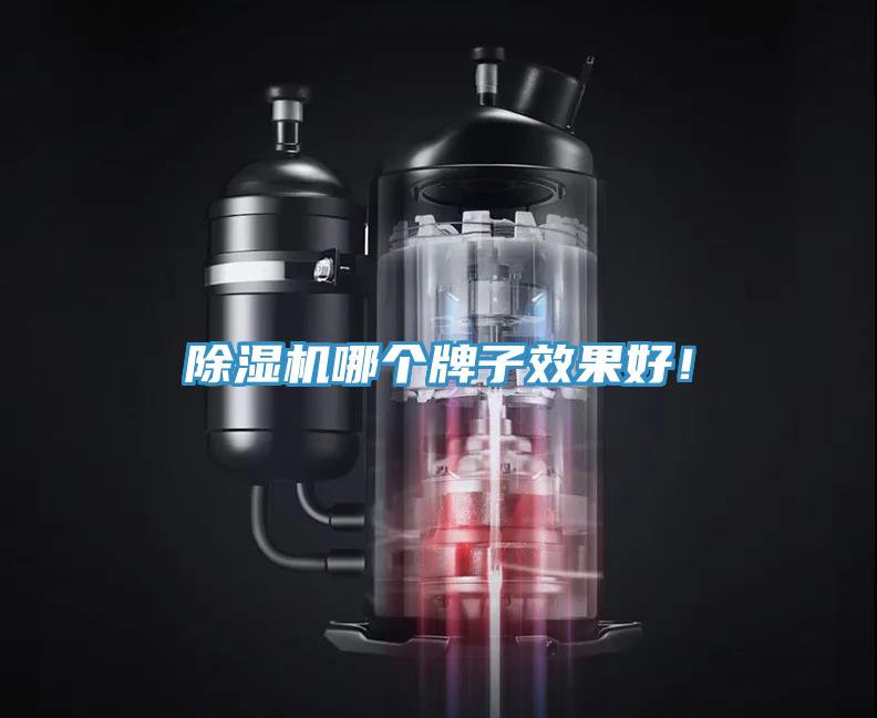 除濕機(jī)哪個牌子效果好！