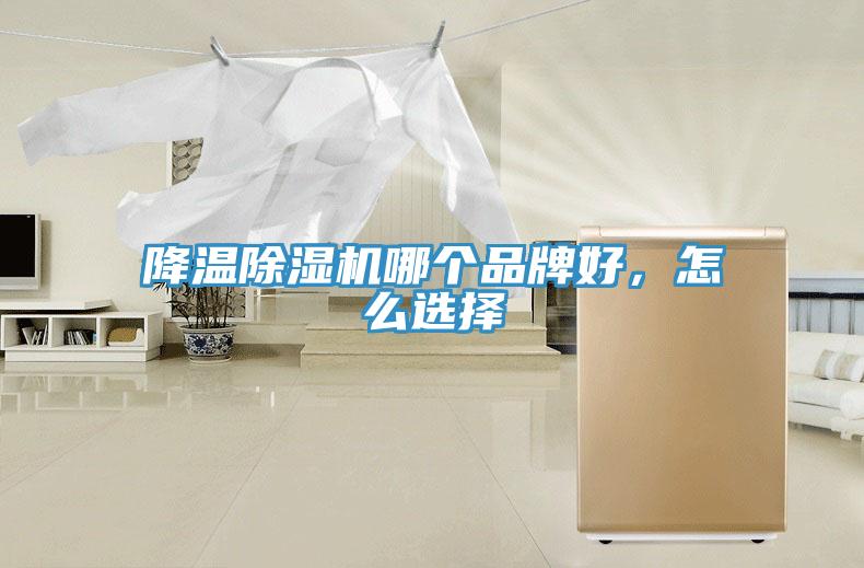 降溫除濕機(jī)哪個品牌好，怎么選擇