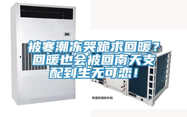 被寒潮凍哭跪求回暖？回暖也會被回南天支配到生無可戀！