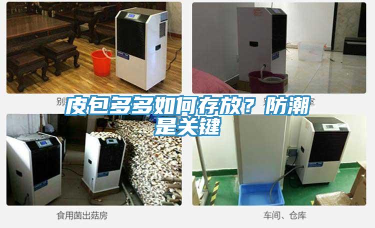 皮包多多如何存放？防潮是關(guān)鍵