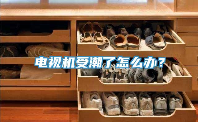 電視機(jī)受潮了怎么辦？